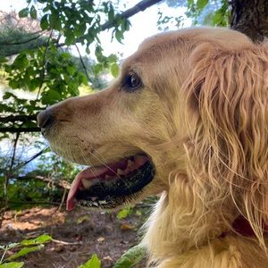 Meet your Posher, Teresa